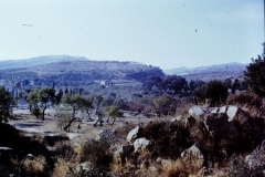 Sicily - 1967