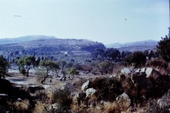 Sicily - 1967