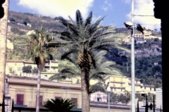 Sicily