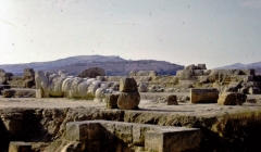 Sicily