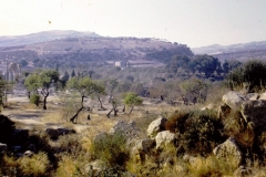 Sicily