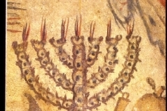 thumbs_0735