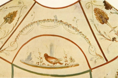 Plate-12.1