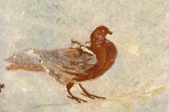Plate-12.2