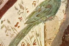 Plate-12.3