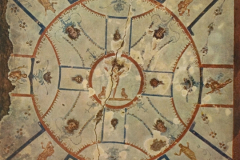 Plate-25