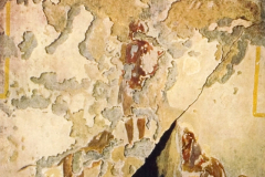Plate-5.1