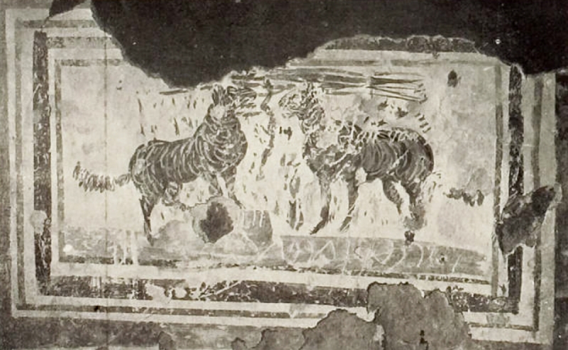 Plate-149.2