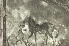 Plate-136.2