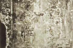 Plate-145.1 (detail)