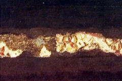 Plate-147 (detail)