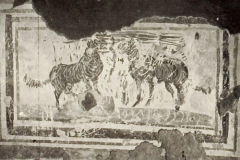 Plate-149.2