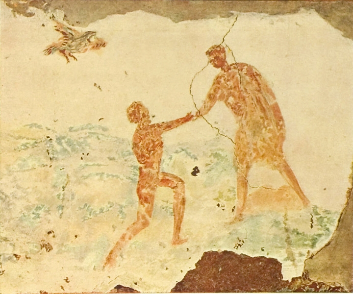 Plate-29.1