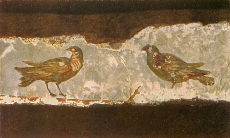 Plate-36.1