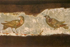 Plate-36.1
