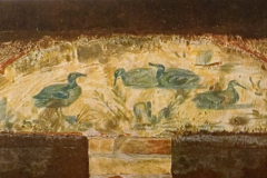 Plate-36.3