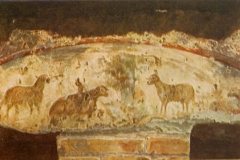 Plate-36.4