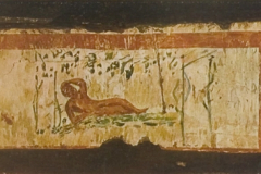 Plate-47