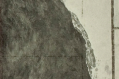 Plate-48.3